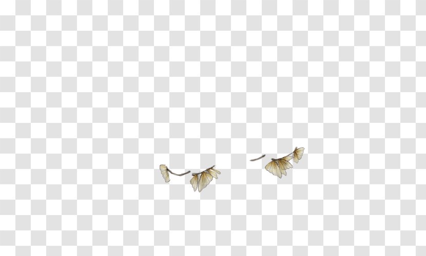 Body Jewellery Beak Font Transparent PNG