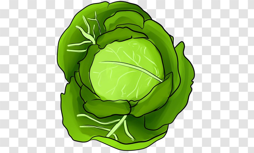 Cabbage Greens Vegetable Leaf Clip Art - Flower - Registered Ali Drew Transparent PNG