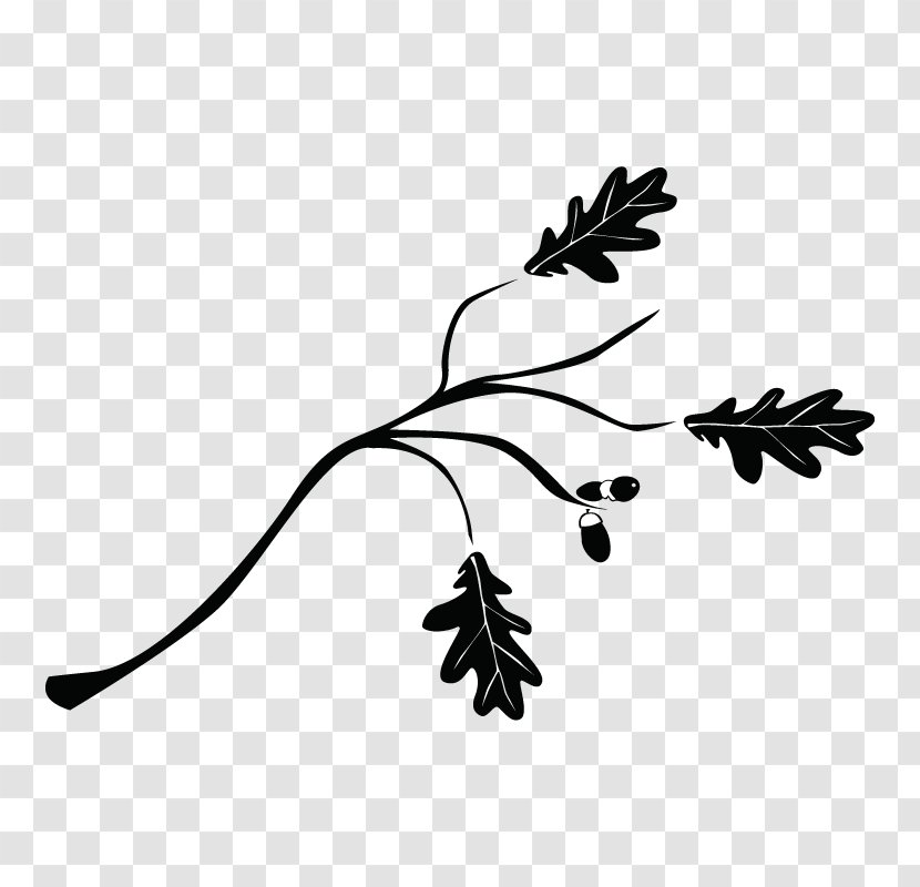 Branch Tree Leaf Drawing Twig - Woody Plant - Forma Transparent PNG