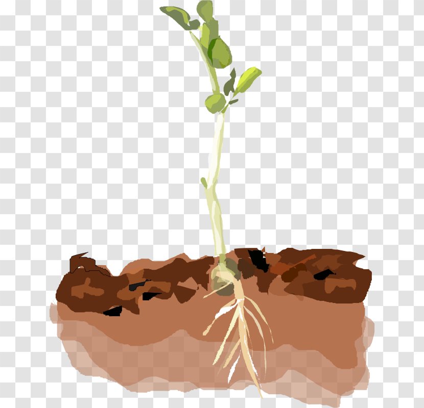 Soil Plant Clip Art - Stem - Pea Vine Cliparts Transparent PNG