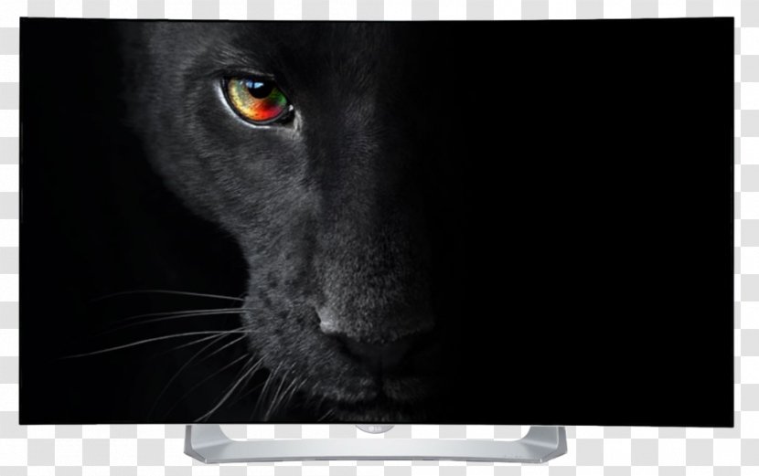 LG B6V OLED OLED-C8 4K Resolution Ultra-high-definition Television - Black Cat - Lg Transparent PNG