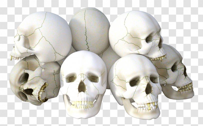 Skull Icon - Head Transparent PNG