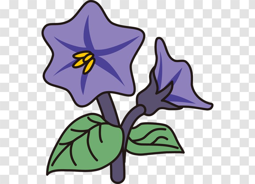 Cut Flowers Eggplant Plant Stem Clip Art - Flowering Transparent PNG