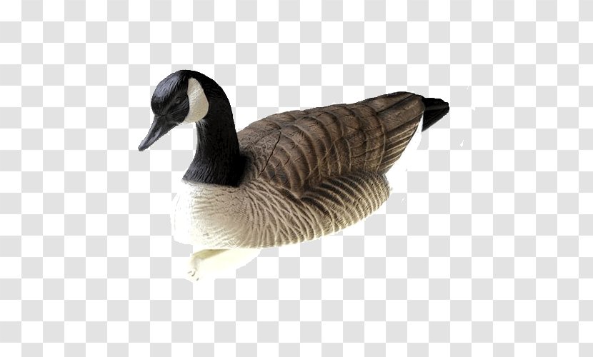 Canada Goose Duck Decoy - Mallard Transparent PNG