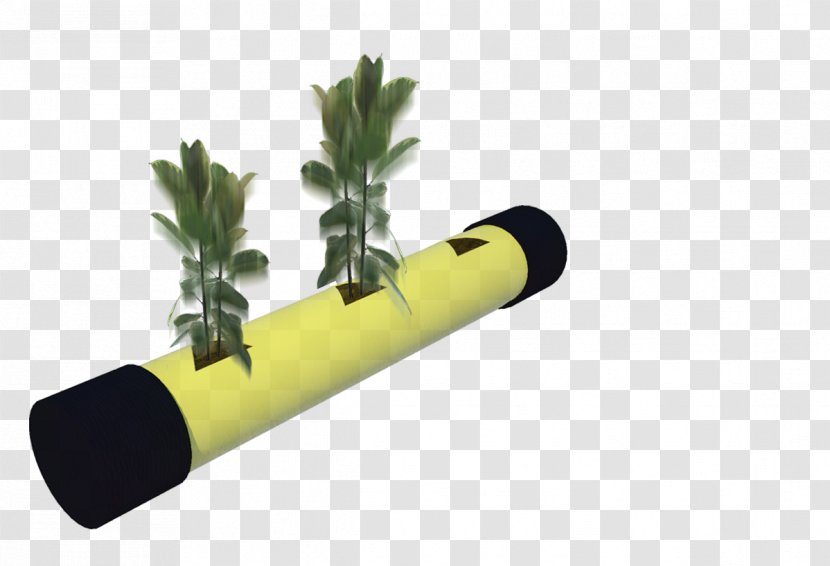 Cylinder - Plant - Design Transparent PNG