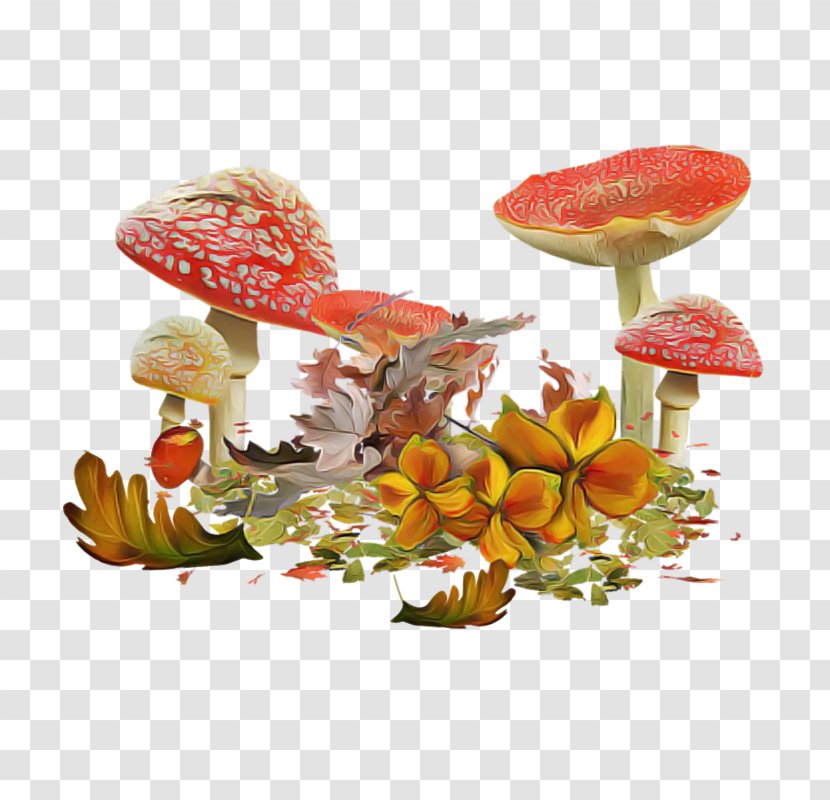 Agaric Mushroom Leaf Anthurium Plant - Fungus - Perennial Transparent PNG