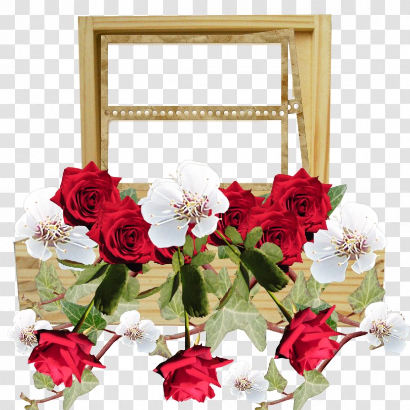 Picture Frames Rose Cut Flowers Photography - Family - Love Frame Transparent PNG