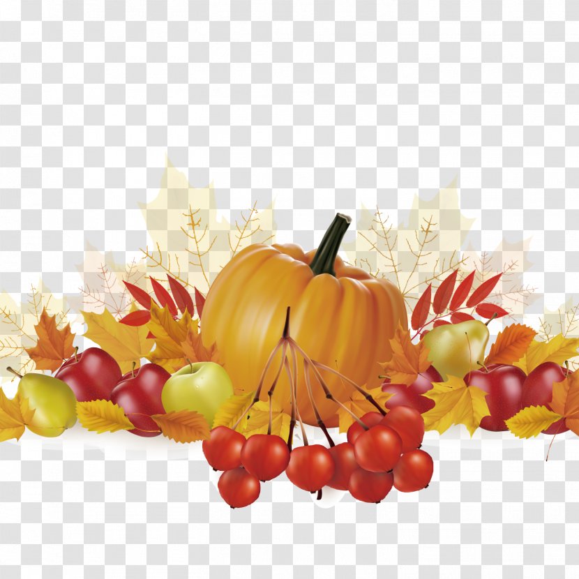 Thanksgiving Day Fruit Illustration - Vegetable - Autumn Pumpkin And Apple Pictures Transparent PNG