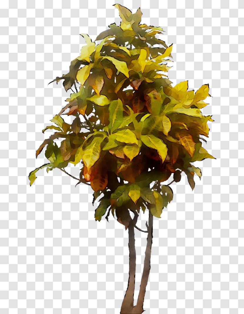 Image Tree Plants Shrub Architecture - Woody Plant - Landscaping Transparent PNG