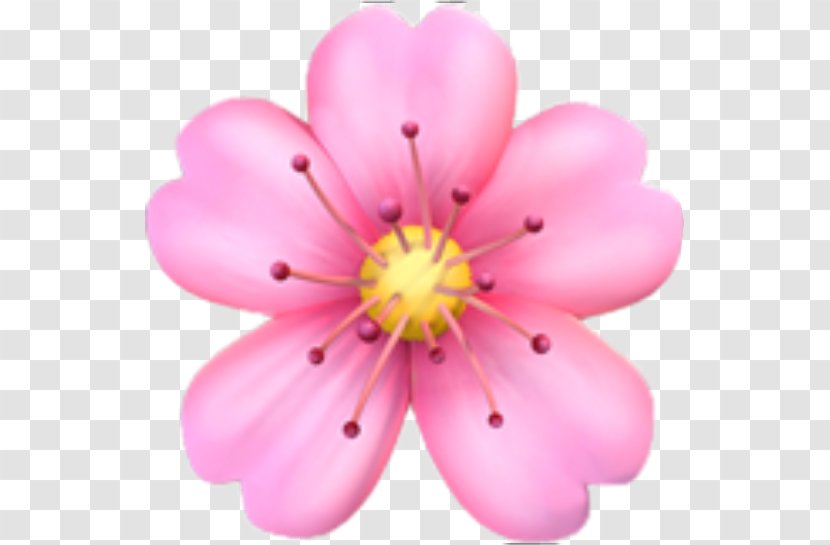 Emojipedia Flower Emoji Domain Transparent PNG