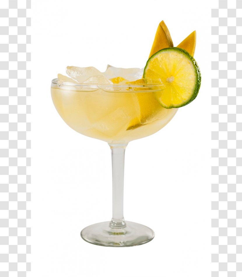 Cocktail Garnish Margarita Daiquiri Martini Piña Colada - Harvey Wallbanger Transparent PNG