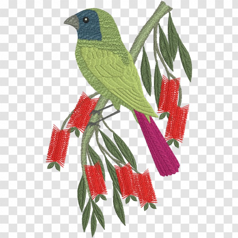 Bird Macaw Loriini Parrot Transparent PNG