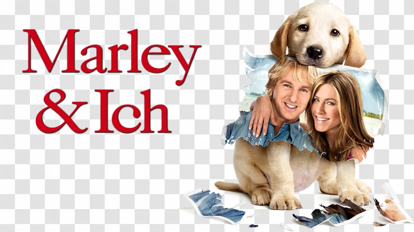 Film Poster Marley & Me 0 Director - One Love Bob Transparent PNG