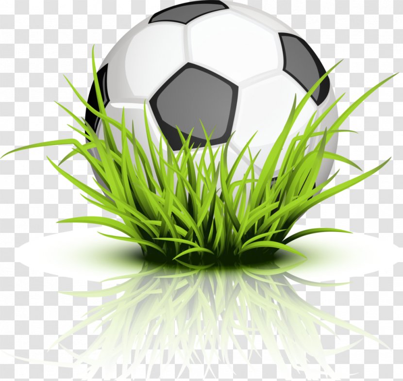 The Tree Frog Clip Art - Sports Equipment - Soccer Ball Transparent PNG