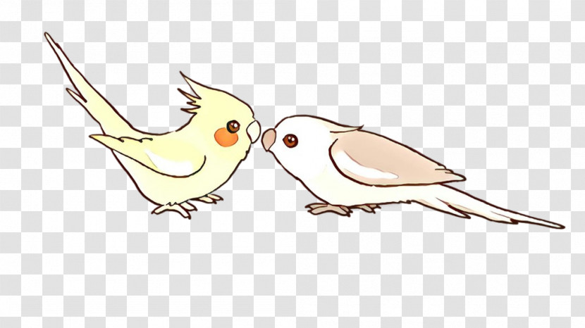 Bird Cockatiel Beak Songbird Wing Transparent PNG