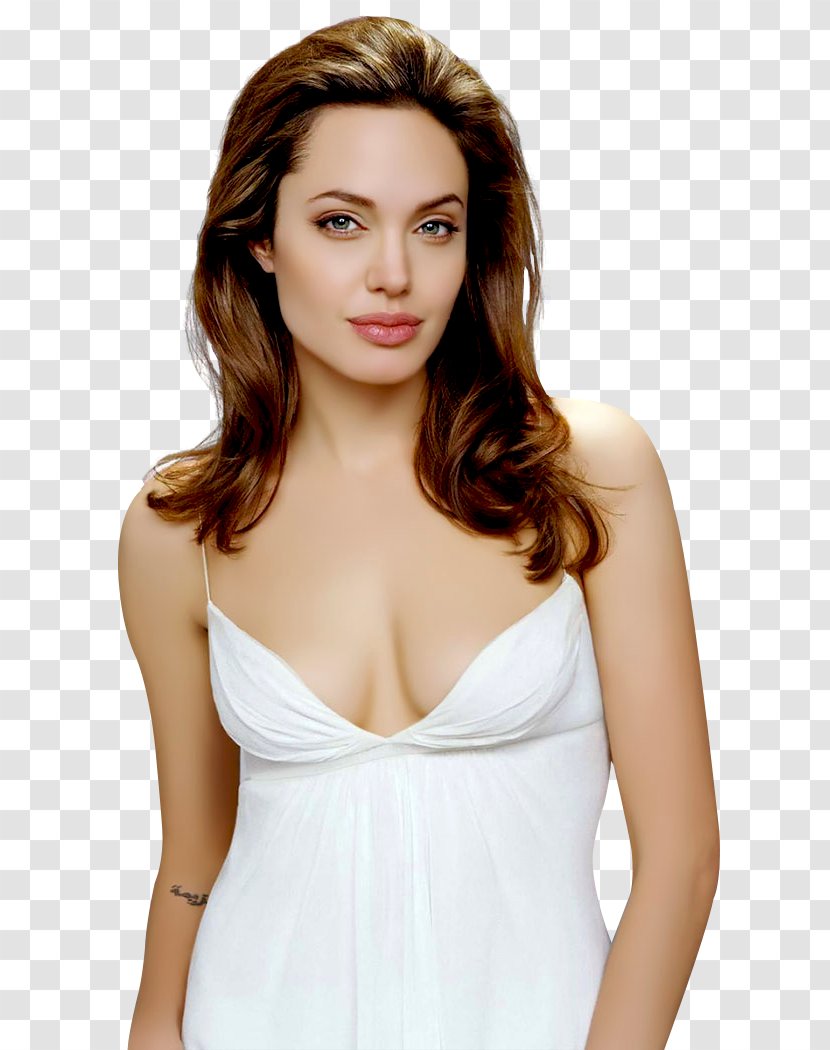 Angelina Jolie Hollywood Female Actor Model - Frame Transparent PNG