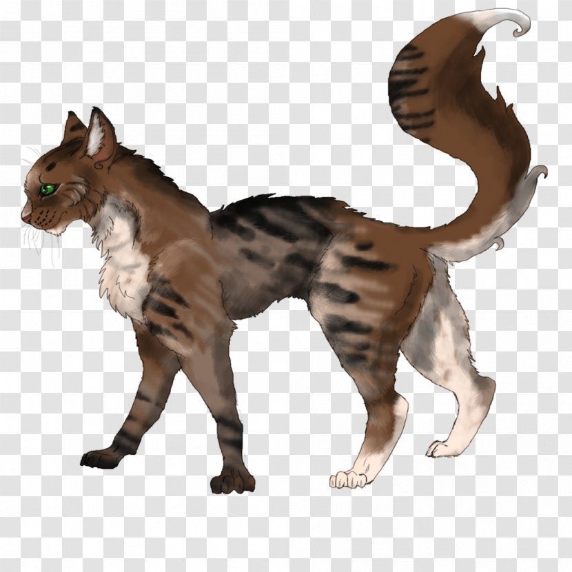 Whiskers Cat Fur Claw Tail - Fauna Transparent PNG