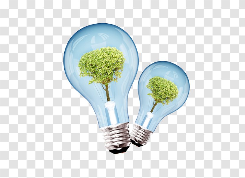Light Energy Conservation Environmental Impact Assessment - Blue Fresh Bulb Plant Decorative Patterns Transparent PNG