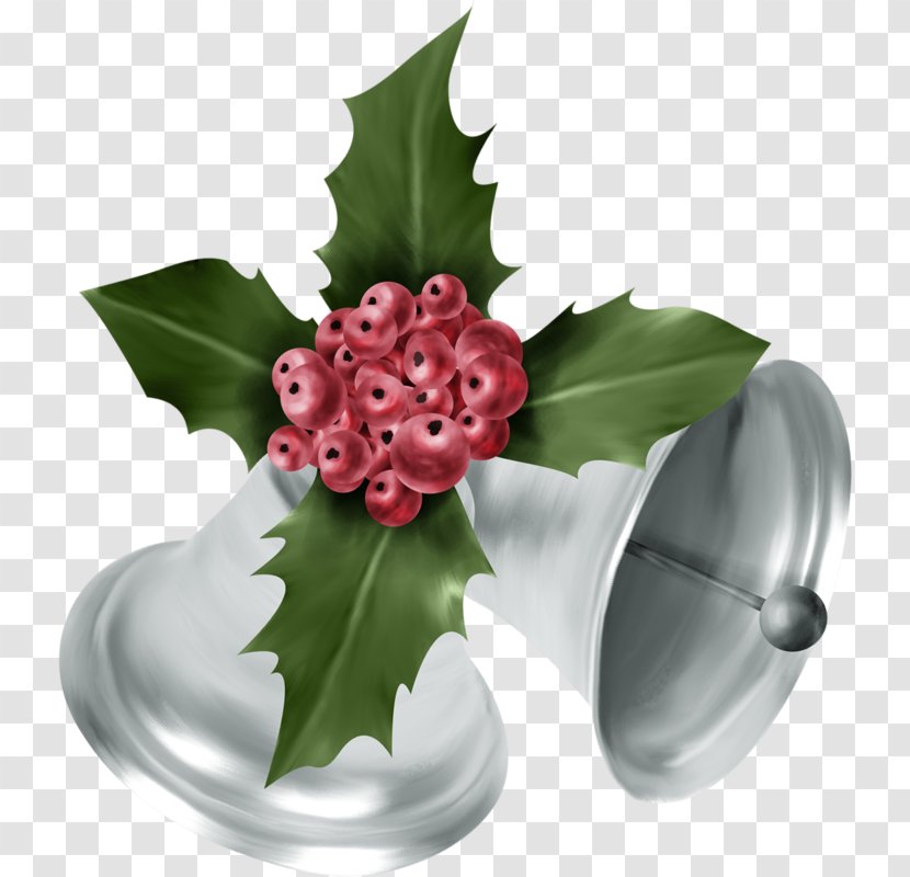 Bell Christmas Gift - Flowering Plant Transparent PNG