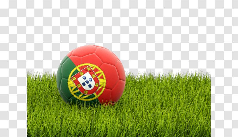 Nottingham Forest F.C. England National Football Team Portugal UEFA Euro 2016 - Grass Transparent PNG
