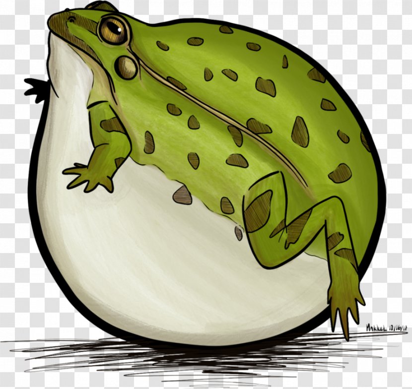 American Bullfrog True Frog T-shirt Toad - Clothing Transparent PNG
