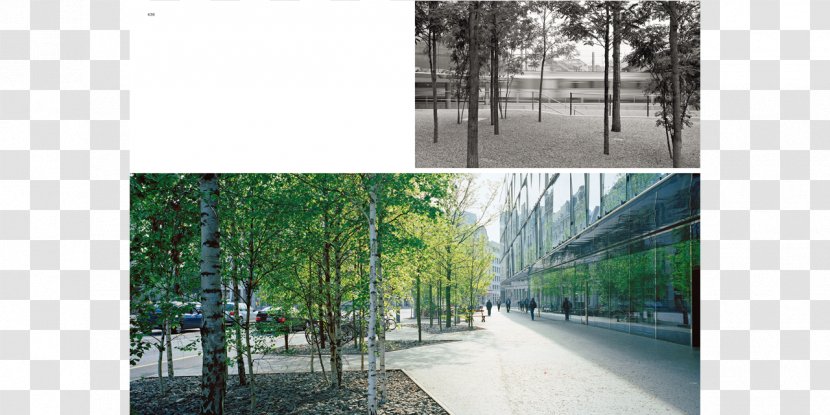 Landscape Architecture Magnifying Glass And Binoculars - Pierre De Meuron - Miniature Panorama Building Vogt Architects AGBuilding Transparent PNG