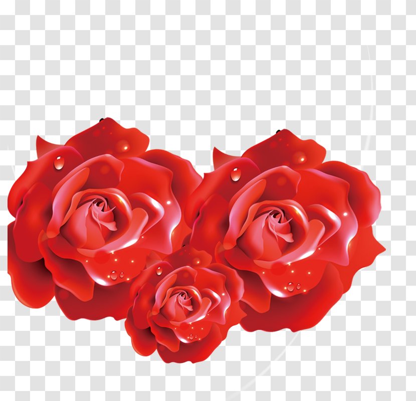 Beach Rose If(we) Download Flower - Floristry Transparent PNG
