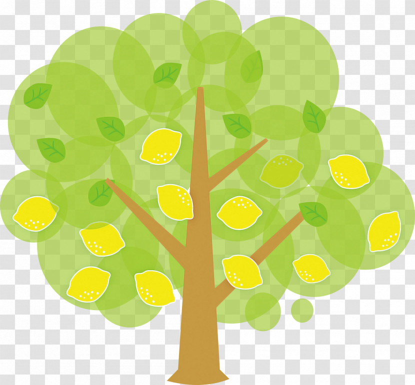 Green Yellow Leaf Tree Plant Transparent PNG