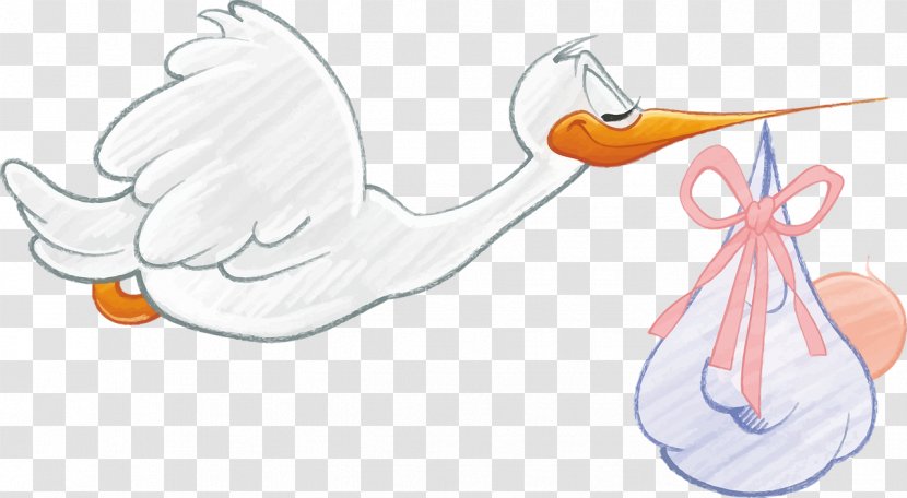 White Stork Infant Clip Art - Frame - Swan Transparent PNG
