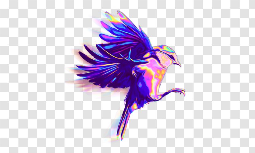 Bird Beak Desktop Wallpaper Clip Art Illustration - Pf Transparent PNG