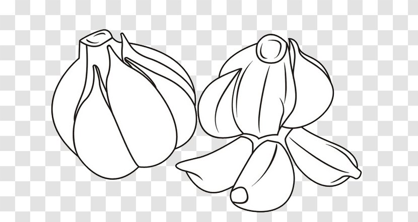 Garlic Vegetable Food Allium Fistulosum - Onion Transparent PNG