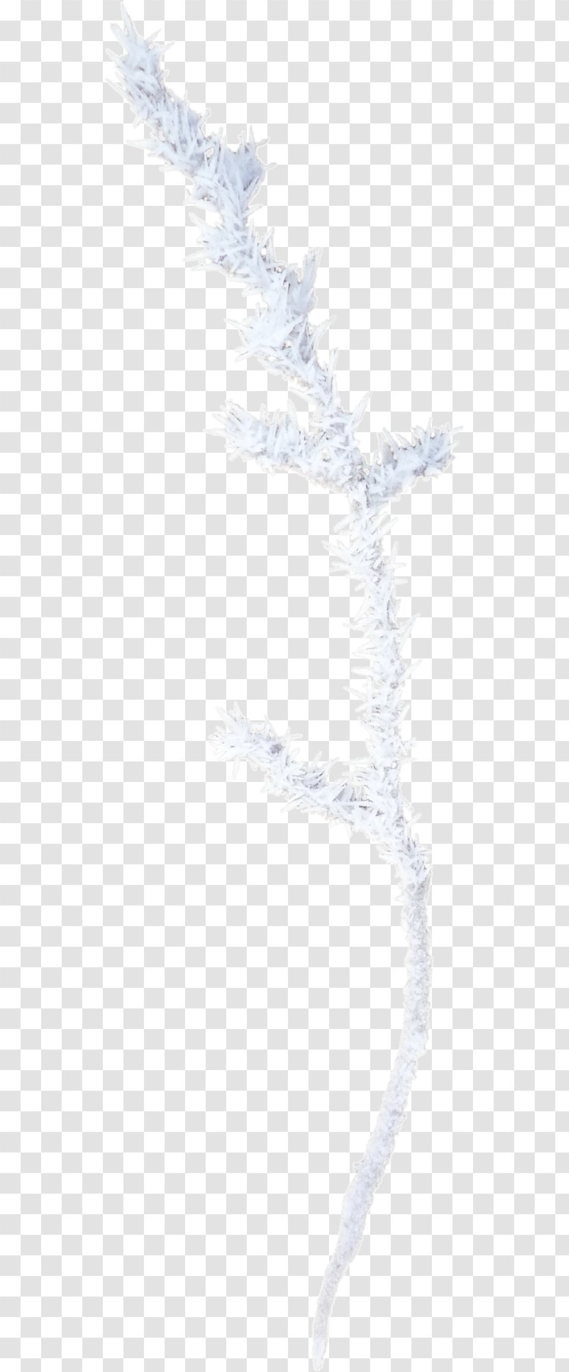 Paper Area Angle Pattern - Diagram - Snow Branch Transparent PNG