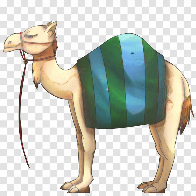Dromedary Camel Racing Bedouin Image Drawing - Animal Figure Transparent PNG
