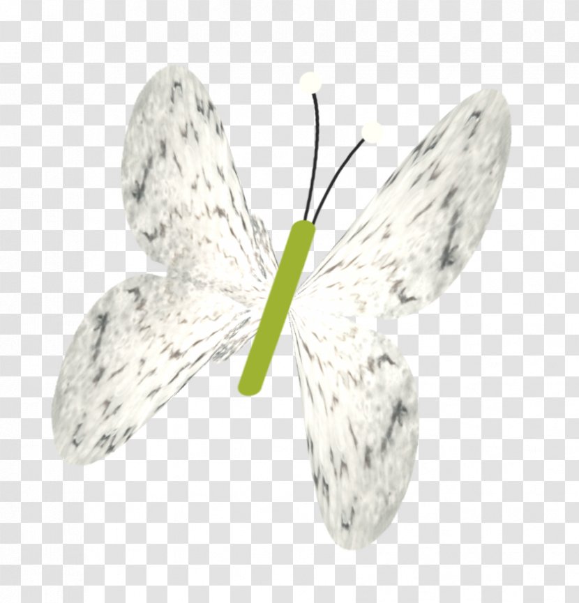 Butterfly Bombycidae Insect - Butterflies And Moths - White Transparent PNG