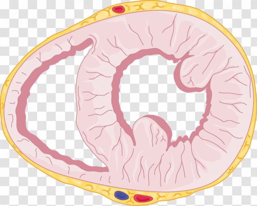 Organism Pink M Circle - Watercolor Transparent PNG