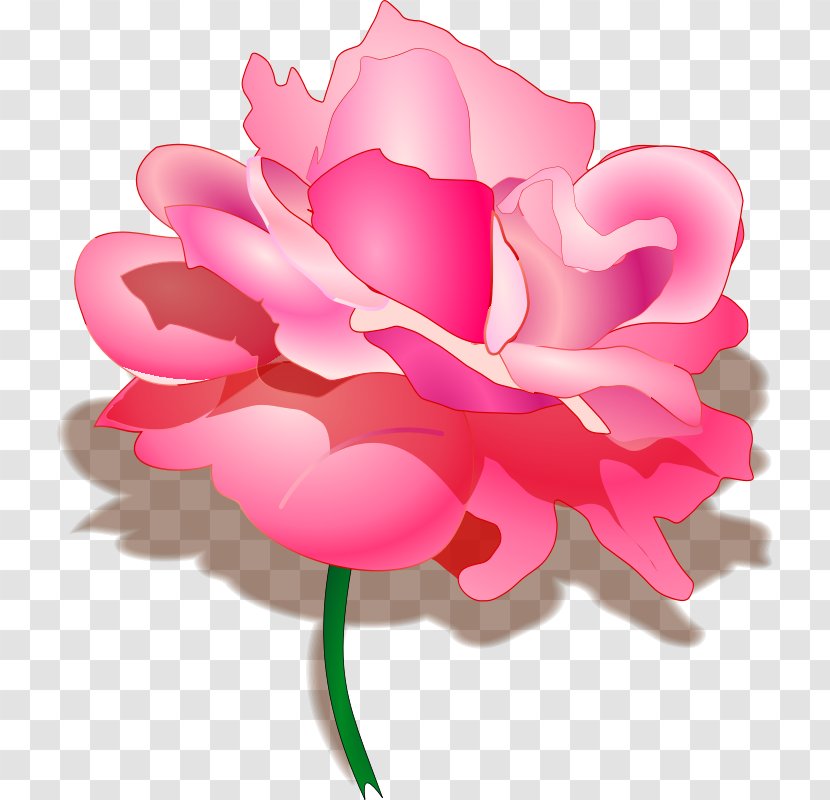Raksha Bandhan Hindi Happiness Quotation Sister - Peony - Picture Of Pink Rose Transparent PNG