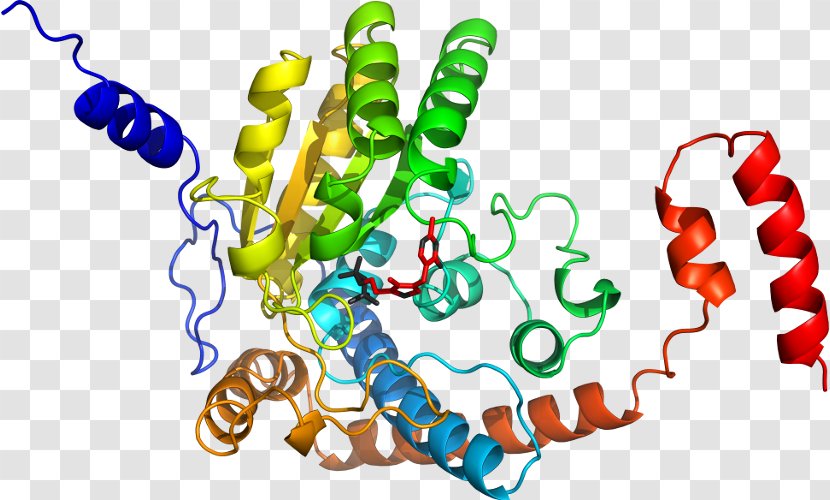 Clip Art Product Organism Line - Enzyme Catalysis Transparent PNG