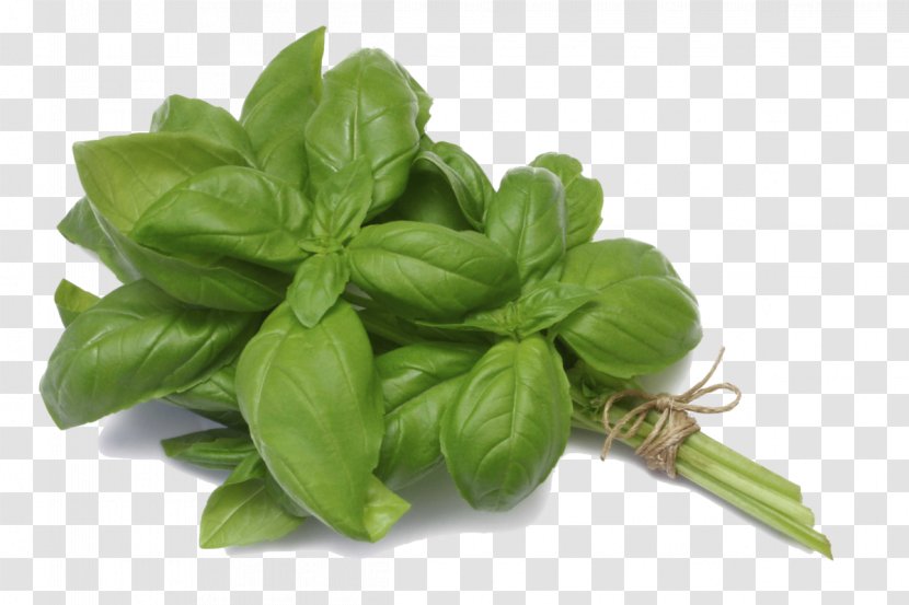 Basil Pesto Caprese Salad Panzanella Tom Yum - Recipe Transparent PNG