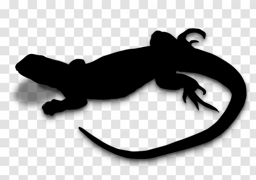 Reptile Clip Art Silhouette - Amphibian Transparent PNG