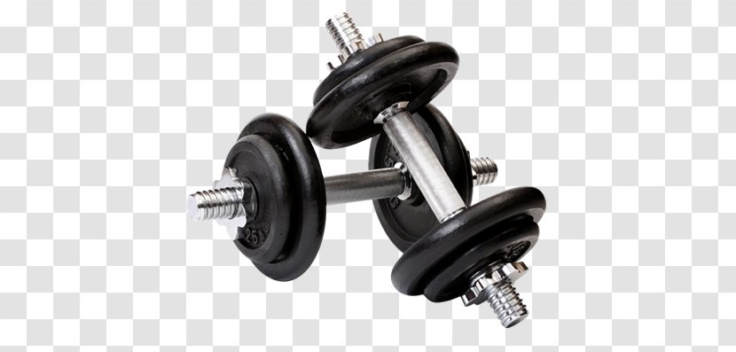 Dumbbell Weight Training Exercise Equipment Bench Transparent PNG