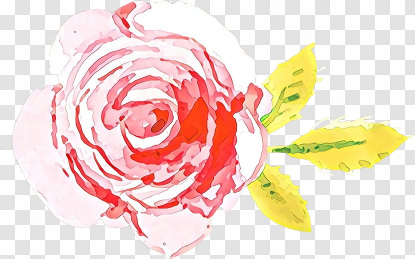 Garden Roses - Petal - Rose Order Transparent PNG