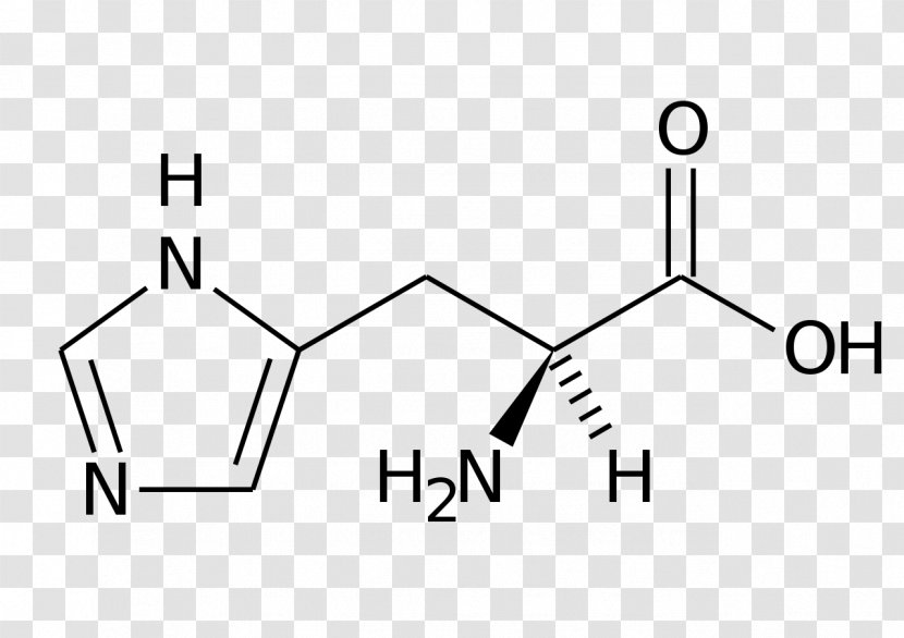Phenylalanine Histidine Skeletal Formula Amino Acid - Area Transparent PNG