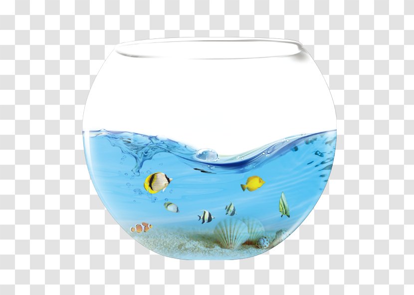 Aquarium Fish Water Icon - Marine Mammal - Seabed Wizard Transparent PNG