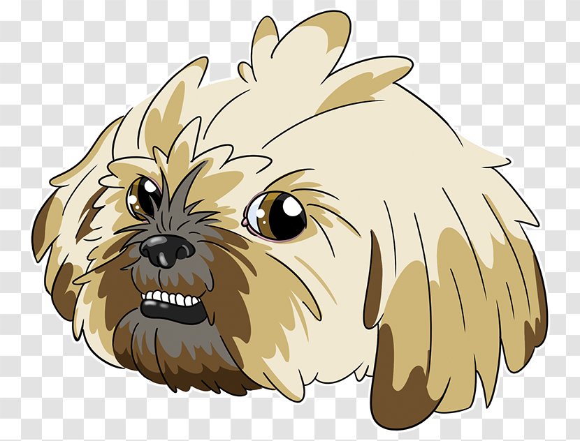 Chinese Background - Toy Dog - Norwich Terrier Maltese Transparent PNG
