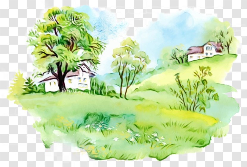 Green Grass Background - Exhibition - Drawing Landscape Transparent PNG