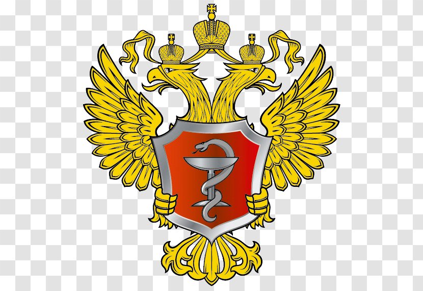 Ministry Of Health Russian Museum Military Medicine Telecom And Mass Communications The Federation S.M. Kirov Medical Academy - Defence - Flower Transparent PNG