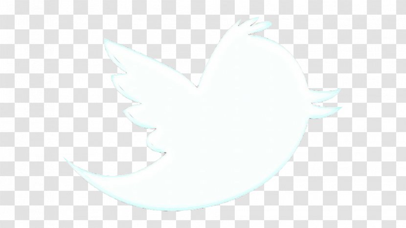 White Wing Drawing Transparent PNG