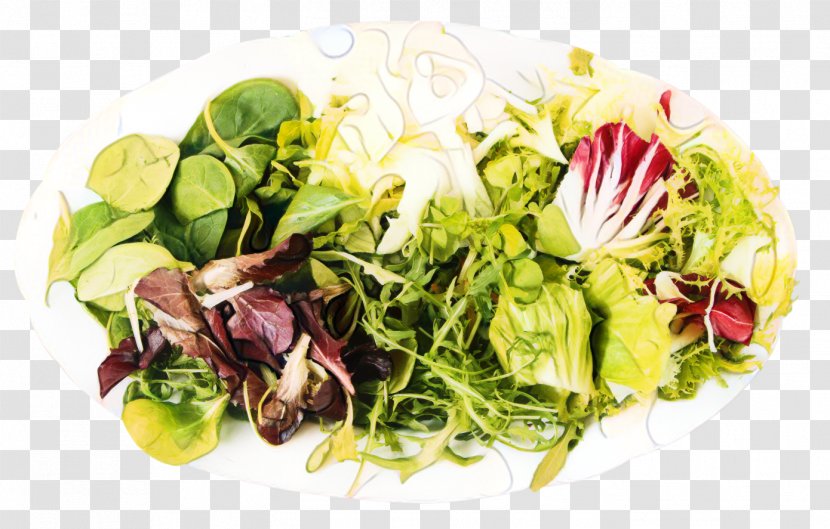 Lettuce Vegetarian Cuisine Food Garnish Spring Greens Transparent PNG