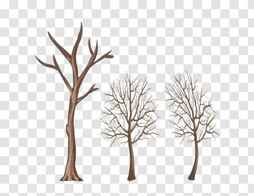 Twig Wood Winter Tree Branch - Elements Transparent PNG
