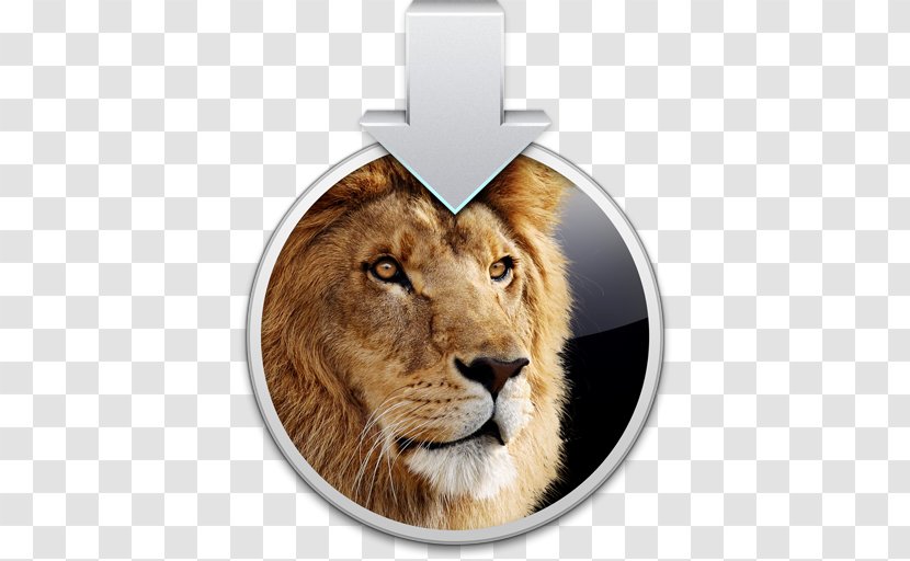 Mac OS X Lion MacBook Air Installation MacOS - Macos - Apple Transparent PNG